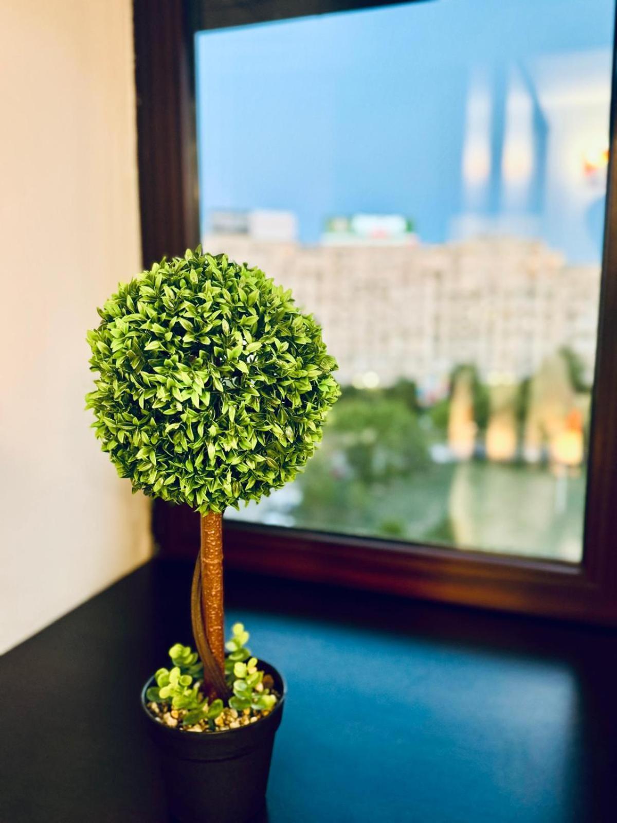 3 Unirii Square Alba Iulia 75 Apartamento *